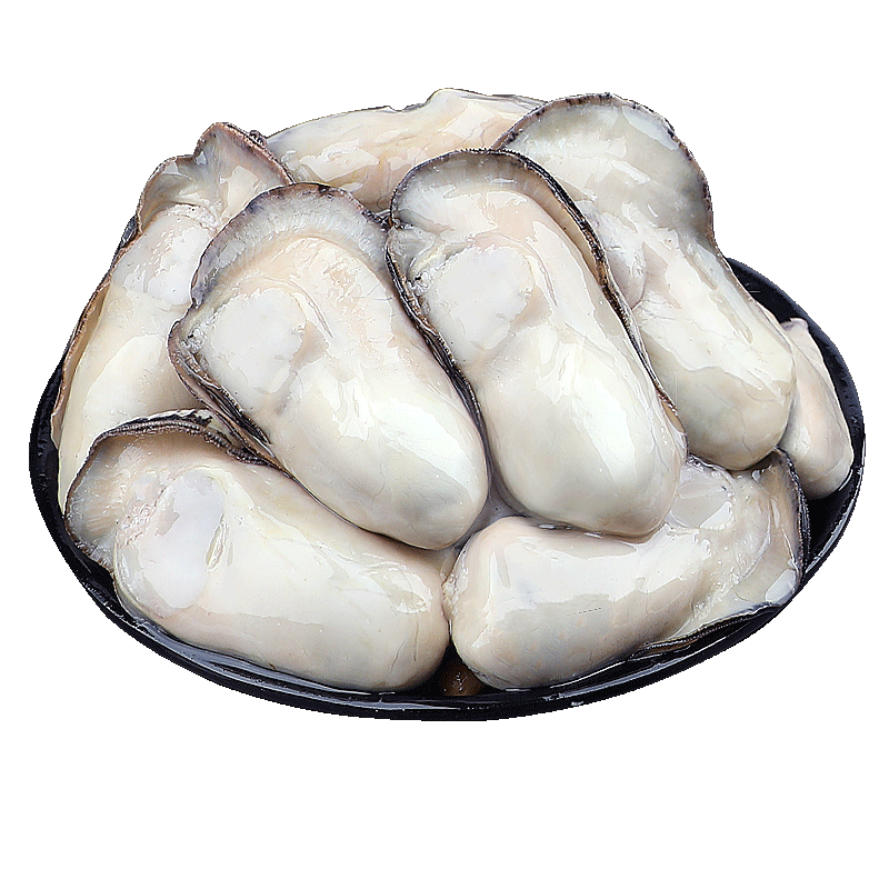 Premium-Giant-Shucked-Oyster-Meat-(Sashimi-Grade)-–-30/40-Count,-1kg-1