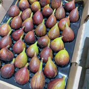 All Fruit at UMall Australia