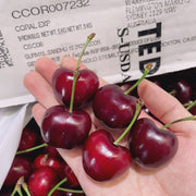 Berries & Cherries & Grapes at UMall Australia