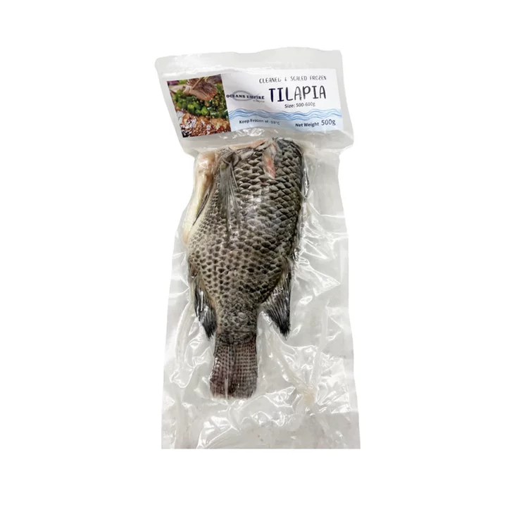 oceans-empire-cleaned-scaled-frozen-tilapia-headless-500-600g-1