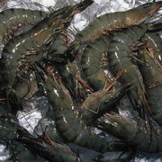 Sản phẩm mới at UMall Australia