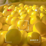 All Fruit at UMall Australia